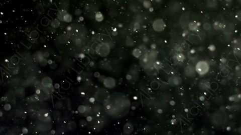 视频素材-灰尘颗粒Bokeh_Dense_06