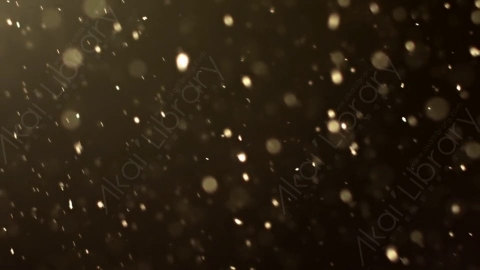 视频素材-灰尘颗粒Bokeh_Dense_07