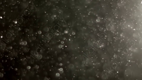 视频素材-灰尘颗粒Bokeh_Dense_08