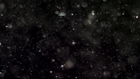 视频素材-灰尘颗粒Bokeh_Dense_09