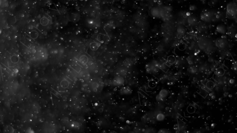 视频素材-灰尘颗粒Bokeh_Dense_13
