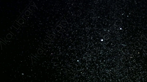 视频素材-粒子亮片Brocade_Sparkles_11