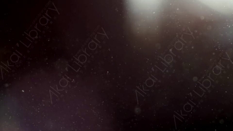 视频素材-灰尘尘土颗粒Light_Flecks_01