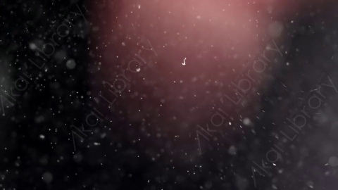 视频素材-灰尘尘土颗粒Light_Specks_04