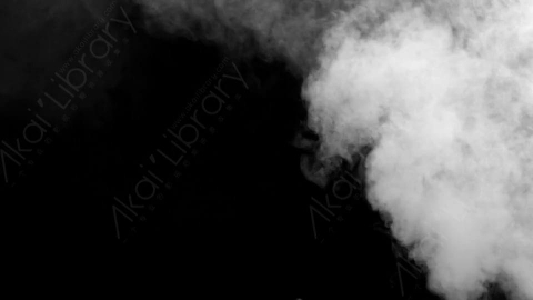 视频素材-fire_smoke_from_bottom_right_05火灾火焰燃烧烟雾