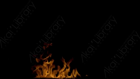 视频素材-motionVFX_steady_bonfire_02燃烧火焰