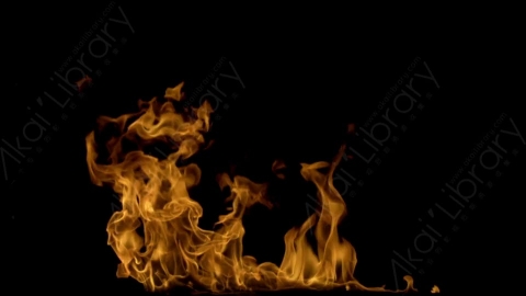 视频素材-motionVFX_steady_bonfire_03燃烧火焰