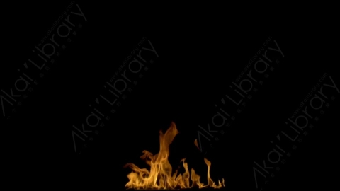 视频素材-motionVFX_steady_bonfire_05燃烧火焰