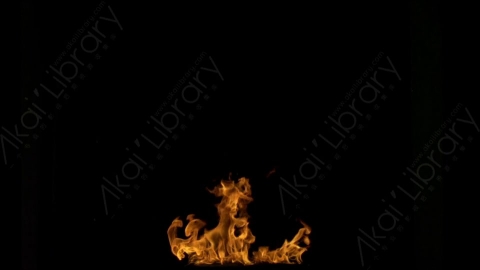 视频素材-motionVFX_steady_bonfire_07燃烧火焰