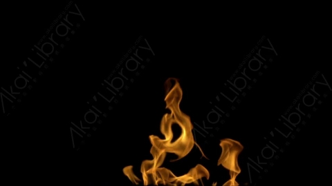 视频素材-motionVFX_steady_bonfire_09燃烧火焰