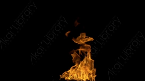 视频素材-motionVFX_steady_bonfire_10燃烧火焰