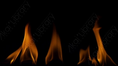 视频素材-motionVFX_steady_fire_from_bottom_02燃烧火焰