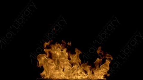 视频素材-motionVFX_steady_fire_from_bottom_03燃烧火焰