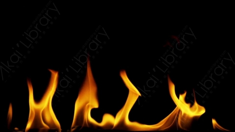 视频素材-motionVFX_steady_fire_from_bottom_04燃烧火焰
