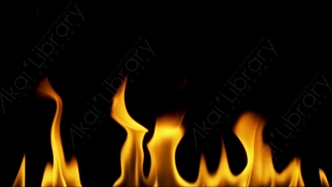 视频素材-motionVFX_steady_fire_from_bottom_05燃烧火焰