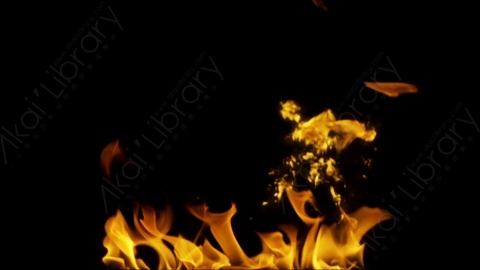 视频素材-motionVFX_steady_fire_from_bottom_07燃烧火焰
