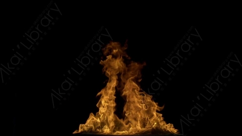 视频素材-motionVFX_steady_fire_from_bottom_09燃烧火焰