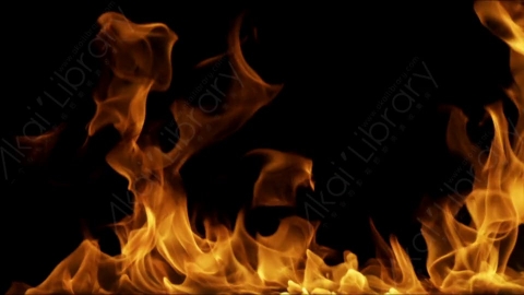 视频素材-motionVFX_steady_fire_fullscreen_10燃烧火焰