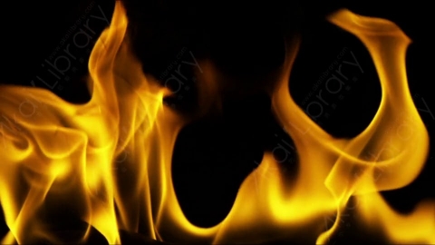 视频素材-motionVFX_steady_fire_fullscreen_12燃烧火焰