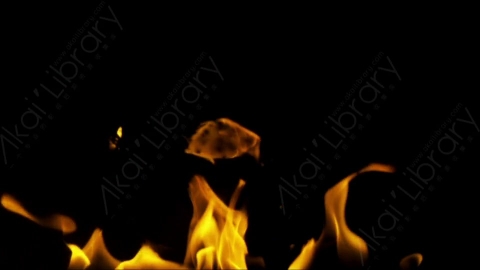 视频素材-motionVFX_steady_fire_fullscreen_13燃烧火焰