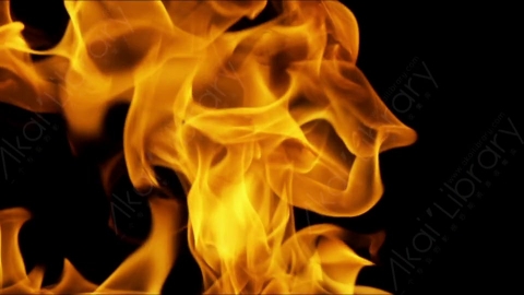 视频素材-motionVFX_steady_fire_fullscreen_15燃烧火焰