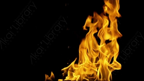 视频素材-motionVFX_steady_fire_fullscreen_17燃烧火焰