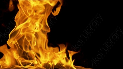 视频素材-motionVFX_steady_fire_fullscreen_18燃烧火焰