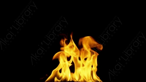 视频素材-motionVFX_steady_fire_fullscreen_19燃烧火焰