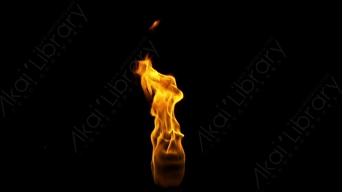 视频素材-motionVFX_torch_fire_from_bottom_01燃烧火焰