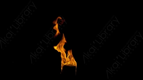 视频素材-motionVFX_torch_fire_from_bottom_02燃烧火焰