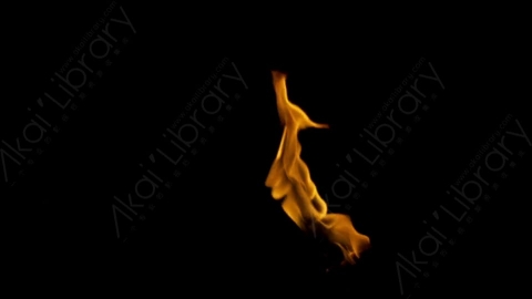 视频素材-motionVFX_torch_fire_from_bottom_03燃烧火焰