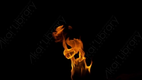 视频素材-motionVFX_torch_fire_from_bottom_04燃烧火焰