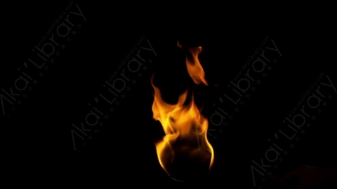 视频素材-motionVFX_torch_fire_from_bottom_05燃烧火焰