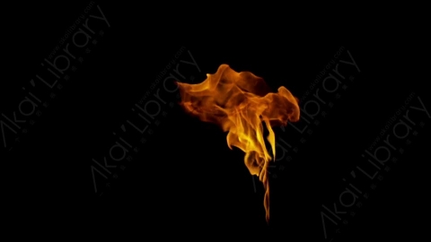 视频素材-motionVFX_torch_fire_from_bottom_07燃烧火焰