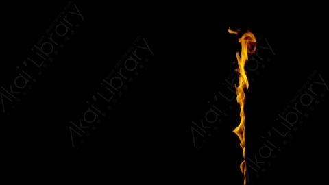 视频素材-motionVFX_torch_fire_from_bottom_10燃烧火焰