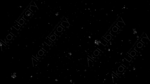 视频素材-normal_6下雪雪花飘落