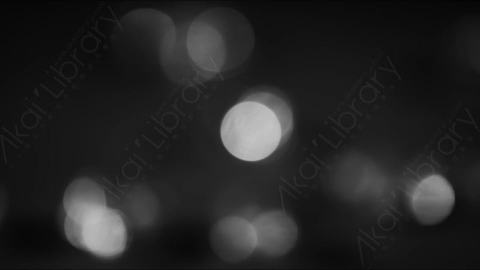 视频素材-光斑steady_circular_bokeh_black_&_white_01