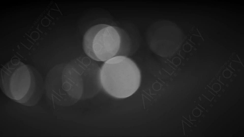 视频素材-光斑steady_circular_bokeh_black_&_white_06
