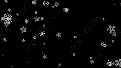 视频素材-vector_10下雪雪花飘落