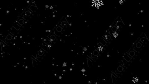 视频素材-vector_2下雪雪花飘落