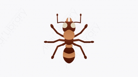 图片素材-001_蚂蚁_ant