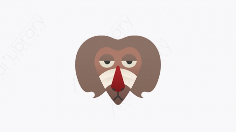 图片素材-001_狒狒_baboon