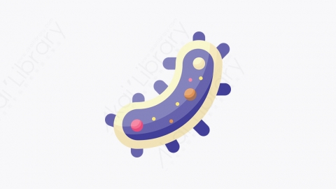 图片素材-001-细菌bacteria