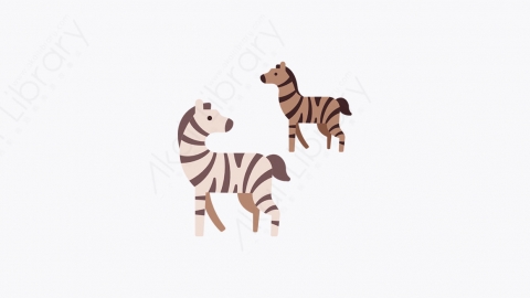 图片素材-001_斑马_zebra