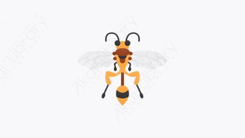 图片素材-002_膜翅目_Hymenoptera