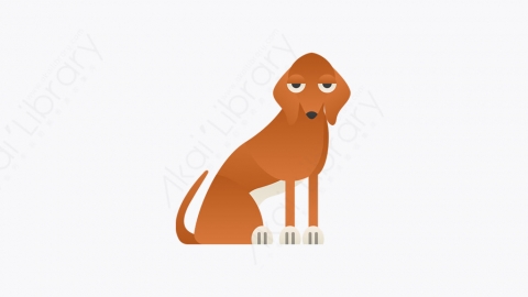 图片素材-002_阿札瓦克犬_azawakh