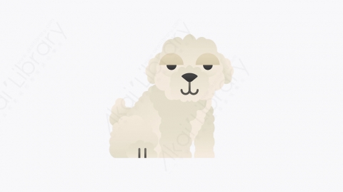 图片素材-002_比熊_bichon_frise