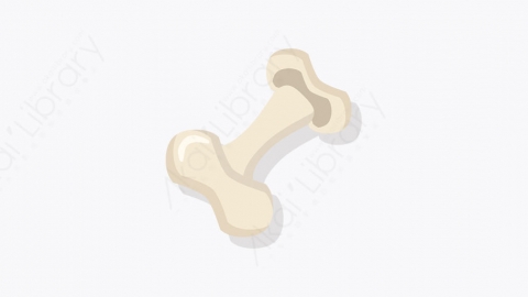 图片素材-002_骨头_bone