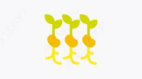 图片素材-004_豆子_bean