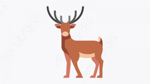 图片素材-004_鹿_deer